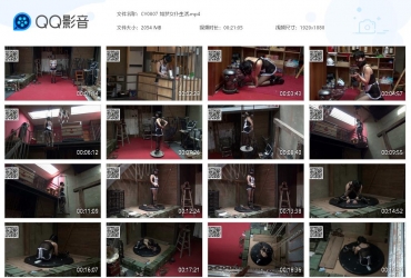 禅狱工作室_如梦女仆生活