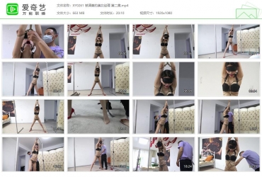 逍遥工作室_被调查的美女经理 第二集