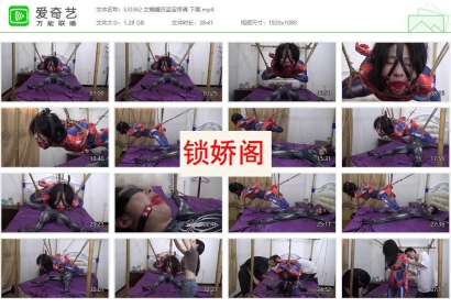 胜景影视_女蝙蝠侠盗宝惊魂 下集